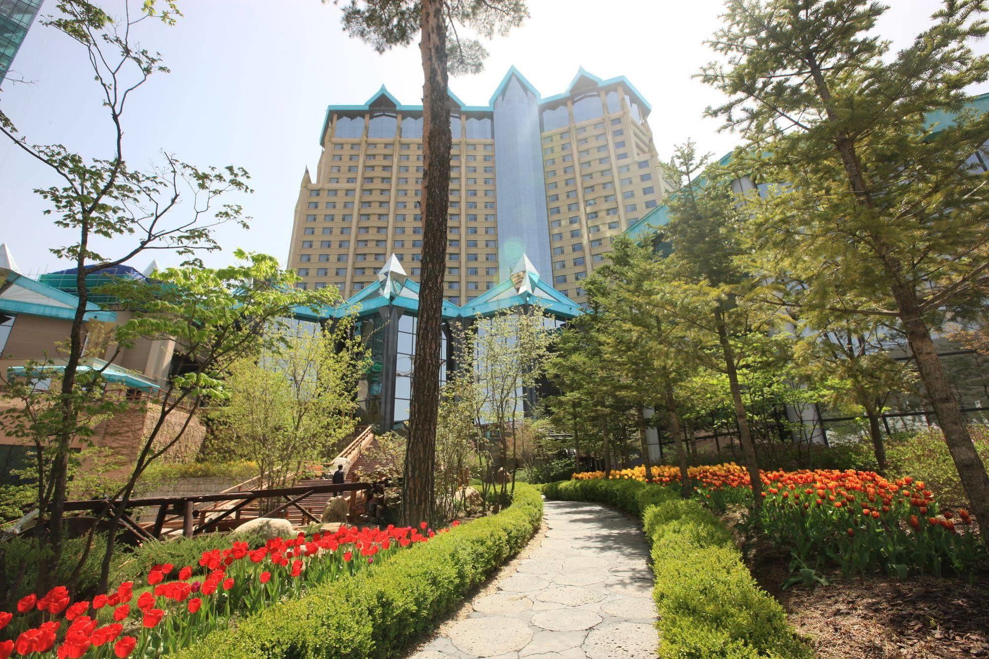 High1 Grand Hotel Main Tower Jeongseon Zewnętrze zdjęcie