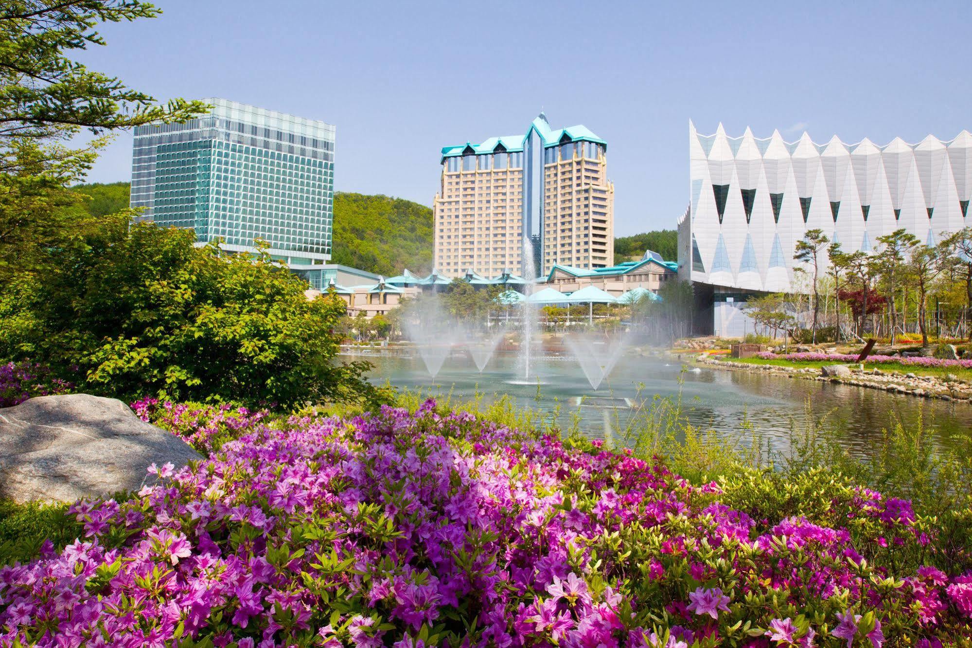 High1 Grand Hotel Main Tower Jeongseon Zewnętrze zdjęcie